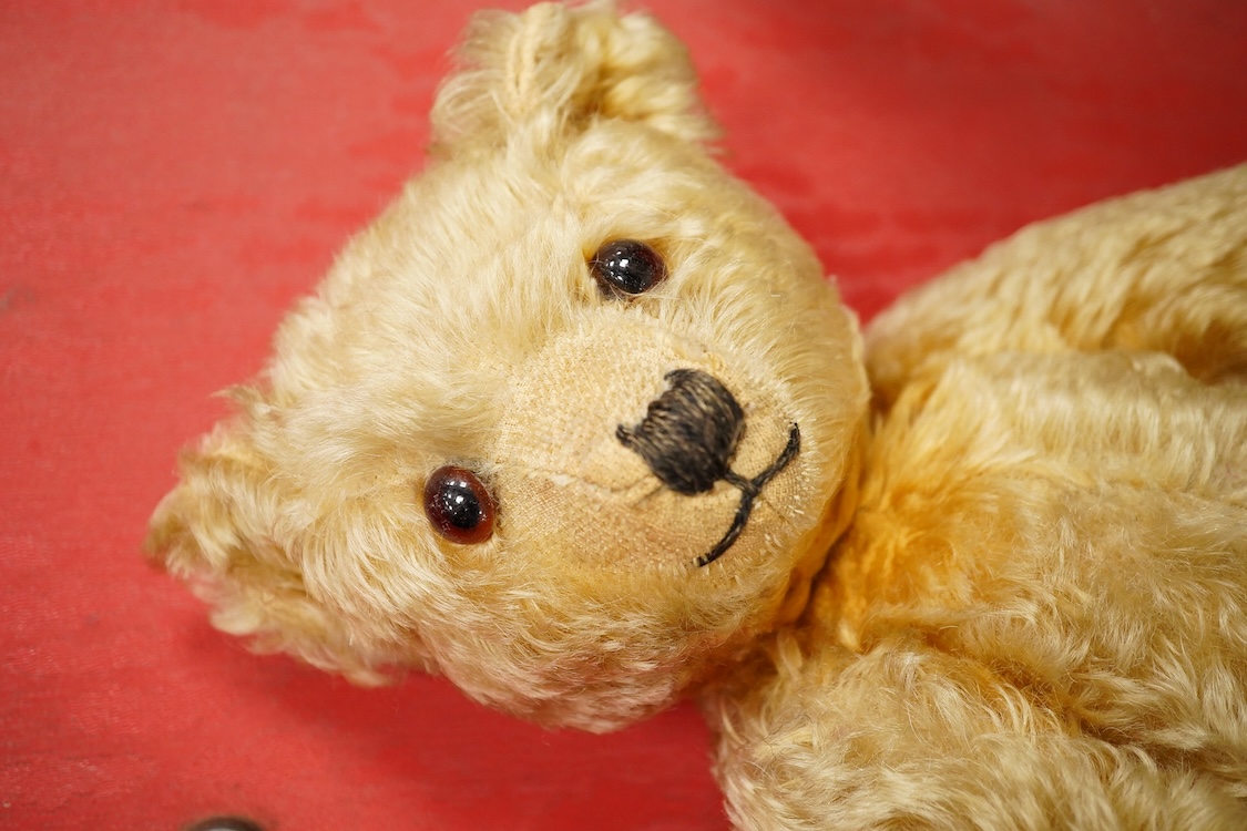 An English 1930s teddy bear and a Paddington Bear by Gabrielle Designs with original labels